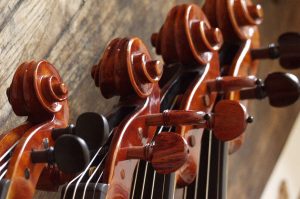 Midwest String Rentals instrument pegs